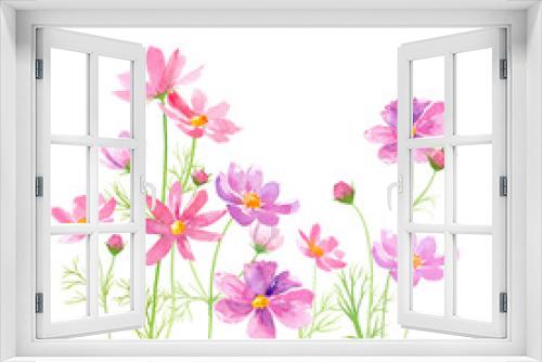 Fototapeta Naklejka Na Ścianę Okno 3D - コスモスの花の水彩イラスト。（透過背景）