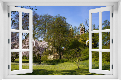 Fototapeta Naklejka Na Ścianę Okno 3D - Magnolienbäume im Frühling