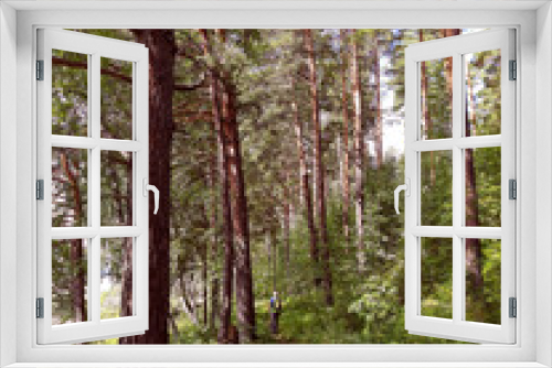 Fototapeta Naklejka Na Ścianę Okno 3D - Pine tree forest, footpath and man silhouette, travelling, trekking in the altai mountains, summer landscape.