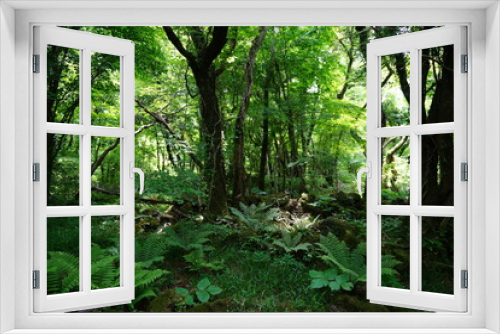 Fototapeta Naklejka Na Ścianę Okno 3D - wild spring forest in the gleaming sunlight