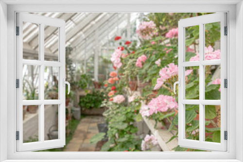 Fototapeta Naklejka Na Ścianę Okno 3D - The beautiful old Danish greenhouse