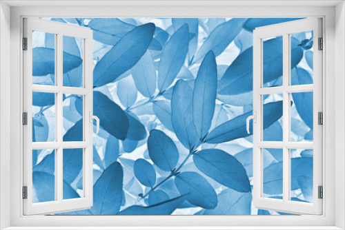 Fototapeta Naklejka Na Ścianę Okno 3D - Vegetable background from honeysuckle leaves. Blue tinted natural wallpaper from the foliage of a fruit bush. Abstract plant backdrop. Beautiful plants pattern