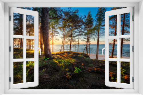 Fototapeta Naklejka Na Ścianę Okno 3D - Baltic see, sunset over beach. Zachód słońca widziany z wydmy i klifu na plaży w Dębkach, nad morzem bałtyckim. Roślinność wydmowa, piasek i morskie fale stwarzają piękny widok na wybrzeże