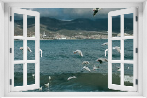 Fototapeta Naklejka Na Ścianę Okno 3D - seagulls on the beach
