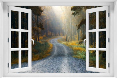 Fototapeta Naklejka Na Ścianę Okno 3D - Jesienny Las z Drogą 