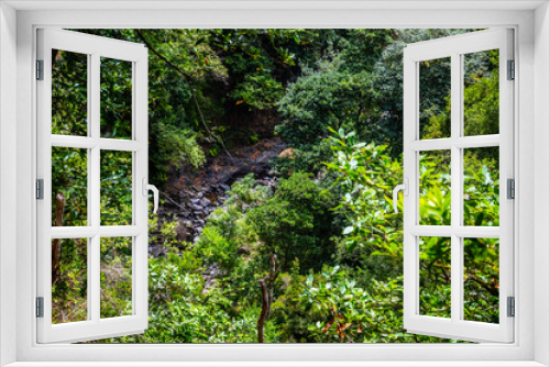 Fototapeta Naklejka Na Ścianę Okno 3D - Madeira - Levada do Castelejo