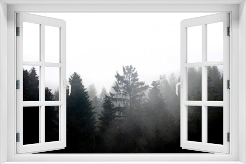 Fototapeta Naklejka Na Ścianę Okno 3D - silhouette of forest against white sky - foggy dark forest