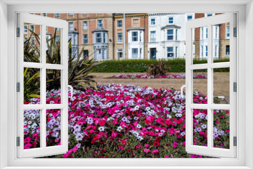 Fototapeta Naklejka Na Ścianę Okno 3D - Pretty pink, red and white flowers in a clifftop park in the seaside town of Lowestoft on the Suffolk coast