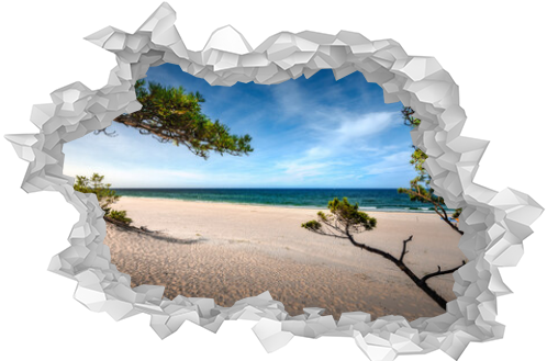 Baltic Sea. Beautiful beach, coast and dune on the Hel Peninsula. Piękne plaże półwyspu helskiego z widokiem na wydmę, roślinność wydmową, piasek i morze bałtyckie. 
