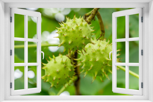 Fototapeta Naklejka Na Ścianę Okno 3D - Covid tree