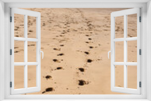 Fototapeta Naklejka Na Ścianę Okno 3D - footprints on a sandy beach in cornwall
