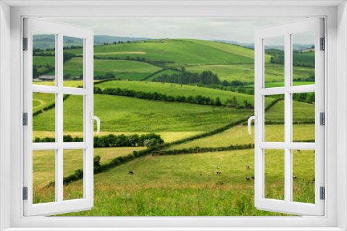 Fototapeta Naklejka Na Ścianę Okno 3D - Agricultural land in county Tipperary, Ireland. Irish rural landscape. Green grass fields with cows on a hills. Cloudy sky. Agriculture and food supply industry. Country side with meadows.