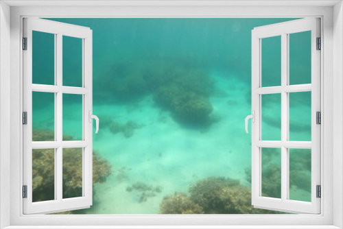 Fototapeta Naklejka Na Ścianę Okno 3D - underwater world