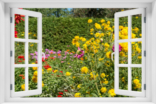 Fototapeta Naklejka Na Ścianę Okno 3D - view of the garden in summer