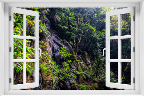 Fototapeta Naklejka Na Ścianę Okno 3D - Madeira - Levada do Moinho