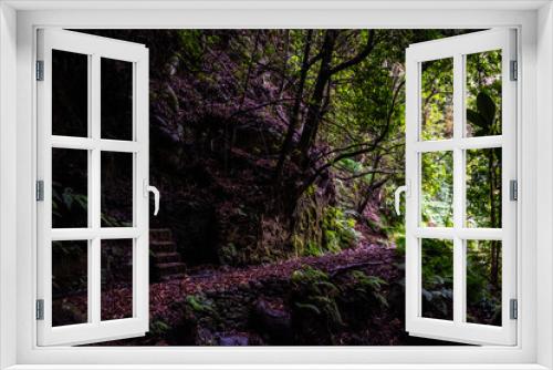 Fototapeta Naklejka Na Ścianę Okno 3D - Madeira - Levada do Moinho