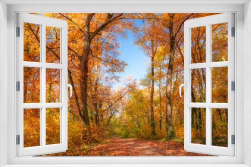 Fototapeta Naklejka Na Ścianę Okno 3D - Beautiful panoramic autumn forest nature. Vivid landscape in colorful fall leaves with sun rays through branches of trees. Amazing nature panorama, fantasy idyllic scenic, tranquil sunset pathway