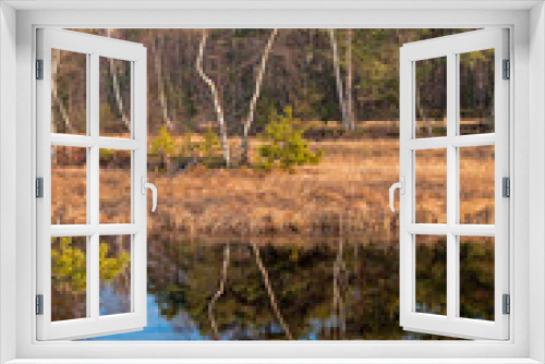 Fototapeta Naklejka Na Ścianę Okno 3D - Autumn on a peat bog.