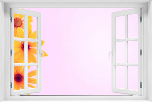 Fototapeta Naklejka Na Ścianę Okno 3D - Желтые цветы на светло-розовом фоне. Нежная цветочная композиция. Фон для поздравительной открытки. 