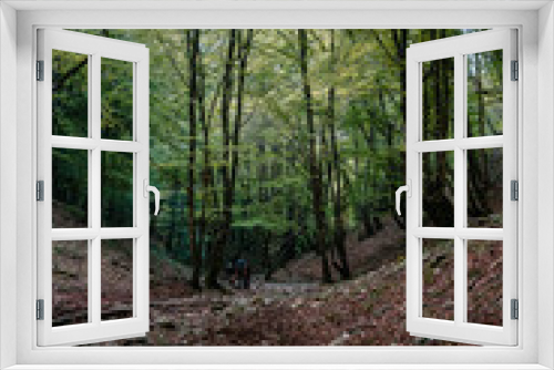 Fototapeta Naklejka Na Ścianę Okno 3D - Inside the woods. Monti Lucretili Natural Park. Lazio, Italy