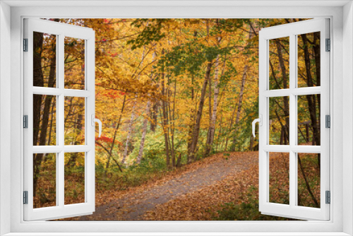 Fototapeta Naklejka Na Ścianę Okno 3D - Path and bridge through a grove of birch trees in Fall