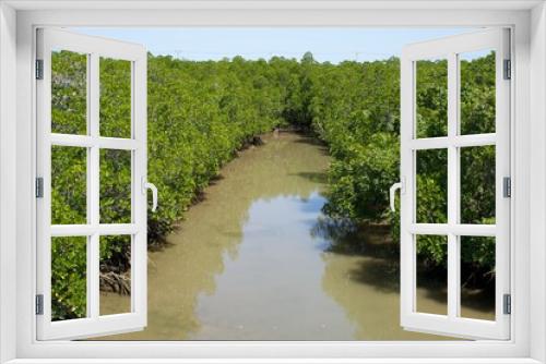 Fototapeta Naklejka Na Ścianę Okno 3D - Muddy river surrounded by mangrove forest