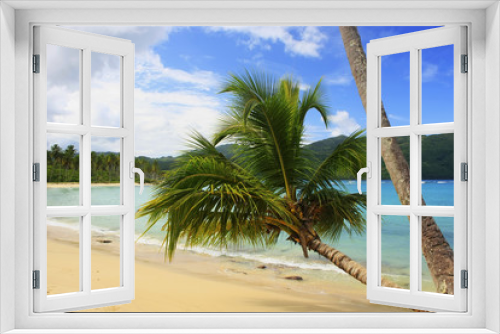 Fototapeta Naklejka Na Ścianę Okno 3D - Leaning palm tree at Rincon beach, Samana peninsula