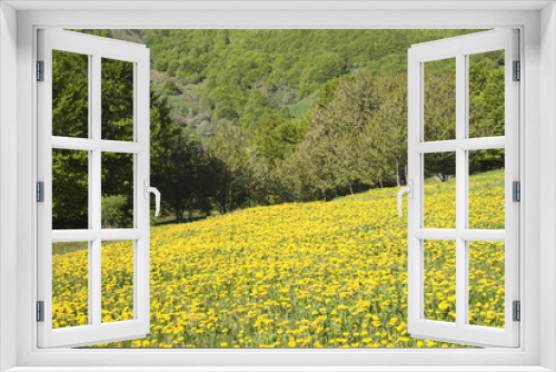 Fototapeta Naklejka Na Ścianę Okno 3D - Springtime in mountains