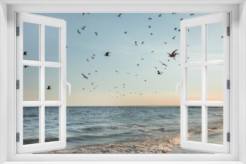 Fototapeta Naklejka Na Ścianę Okno 3D - Flock of Seagulls flying across the ocean