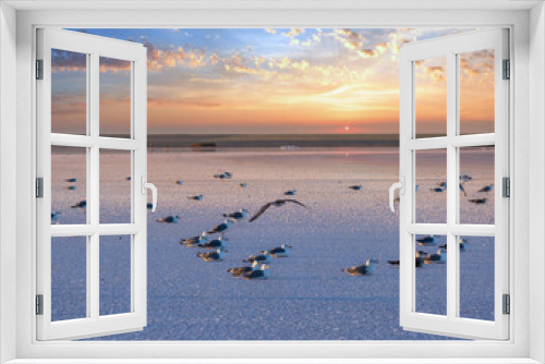 Fototapeta Naklejka Na Ścianę Okno 3D - Seagulls on sunset Genichesk pink  salty lake, Ukraine