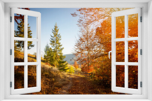Fototapeta Naklejka Na Ścianę Okno 3D - The colors and texture of autumn in beautiful sceneries, landscape, flowers and leaves
