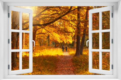 Fototapeta Naklejka Na Ścianę Okno 3D - Golden colors of autumn in the park, a couple in love walks along the paths among beautiful amazing large trees.