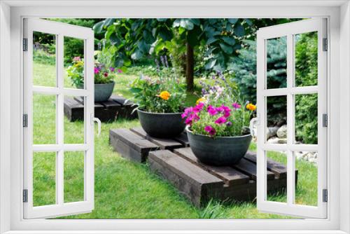 Fototapeta Naklejka Na Ścianę Okno 3D - Piękne kwiaty ogrodowe w donicach