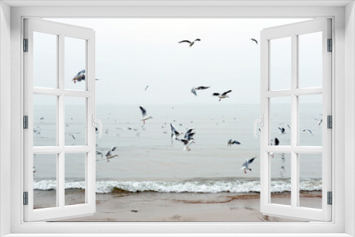 Fototapeta Naklejka Na Ścianę Okno 3D - A flock of seagulls flying by the sea