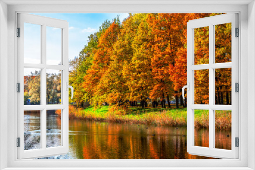 Fototapeta Naklejka Na Ścianę Okno 3D - Autumn foliage in Alexander park, Tsarskoe Selo (Pushkin), St. Petersburg, Russia