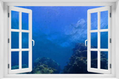 Fototapeta Naklejka Na Ścianę Okno 3D - 珊瑚が広がる静寂な海底・沖縄 石垣島