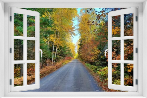 Fototapeta Naklejka Na Ścianę Okno 3D - road in autumn forest