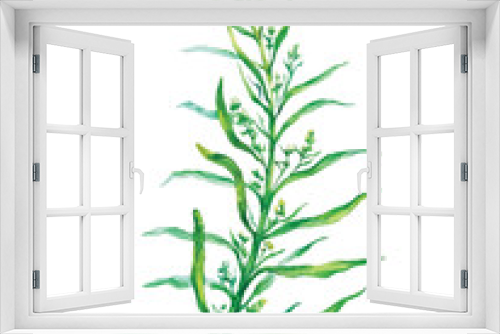 Fototapeta Naklejka Na Ścianę Okno 3D - Vector tarragon herb isolated, watercolor painting on white background