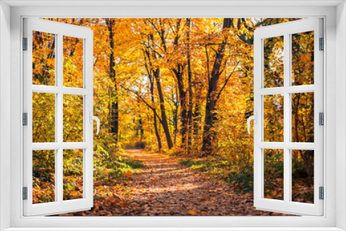 Fototapeta Naklejka Na Ścianę Okno 3D - Beautiful natural autumn forest dawn background. Idyllic golden sunlight, peaceful nature, mountain trail. Autumn forest landscape. Vivid morning in colorful forest, sun rays through branches of tree