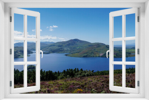 Fototapeta Naklejka Na Ścianę Okno 3D - panroama landscape of colorful summer heath with a view of Caragh Lake and the mountains of the Dingle Peninusla in County Kerry