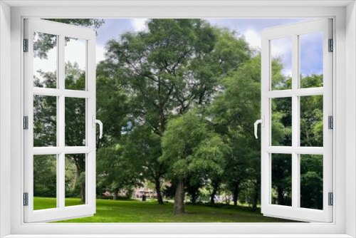 Fototapeta Naklejka Na Ścianę Okno 3D - Beautiful view of green park on sunny day
