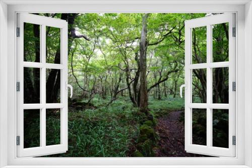 Fototapeta Naklejka Na Ścianę Okno 3D - refreshing summer forest with fine path