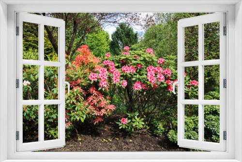 Fototapeta Naklejka Na Ścianę Okno 3D - Beautiful spring garden