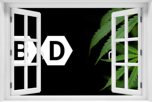 Fototapeta Naklejka Na Ścianę Okno 3D - CBD or THC cannabis addiction or alternative health - banner design