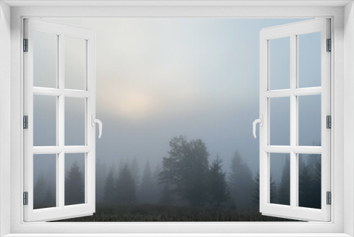 Fototapeta Naklejka Na Ścianę Okno 3D - morning mist in the forest