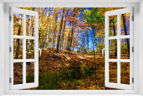 Fototapeta Naklejka Na Ścianę Okno 3D - Panorama of nature in full display in fall with the forest in full display, Mississauga, ON, Canada