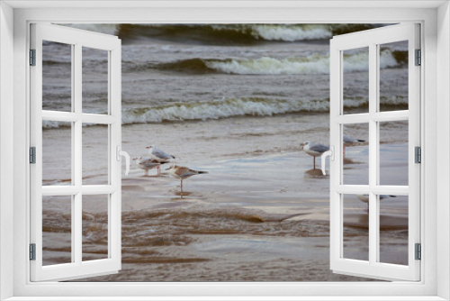 Fototapeta Naklejka Na Ścianę Okno 3D - Baltic sea beach