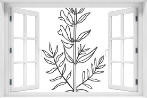 Fototapeta Naklejka Na Ścianę Okno 3D - Handdrawn Line Art Floral, Twig, Grass and Leaf