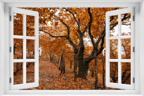 Fototapeta Naklejka Na Ścianę Okno 3D - autumn landscape