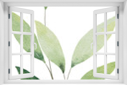 Fototapeta Naklejka Na Ścianę Okno 3D - Watercolor Green Leaves Elements